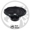 3010-ساب-ووفر-کنوود-Kenwood-KFC-W3010-Subwoofer