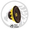 102M2-D4-ساب-ووفر-بوستر-Booster-BW-102M2-D4-SubWoofer